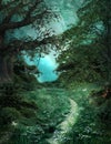 Mysterious pathway in the green magic forest Royalty Free Stock Photo